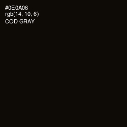 #0E0A06 - Cod Gray Color Image